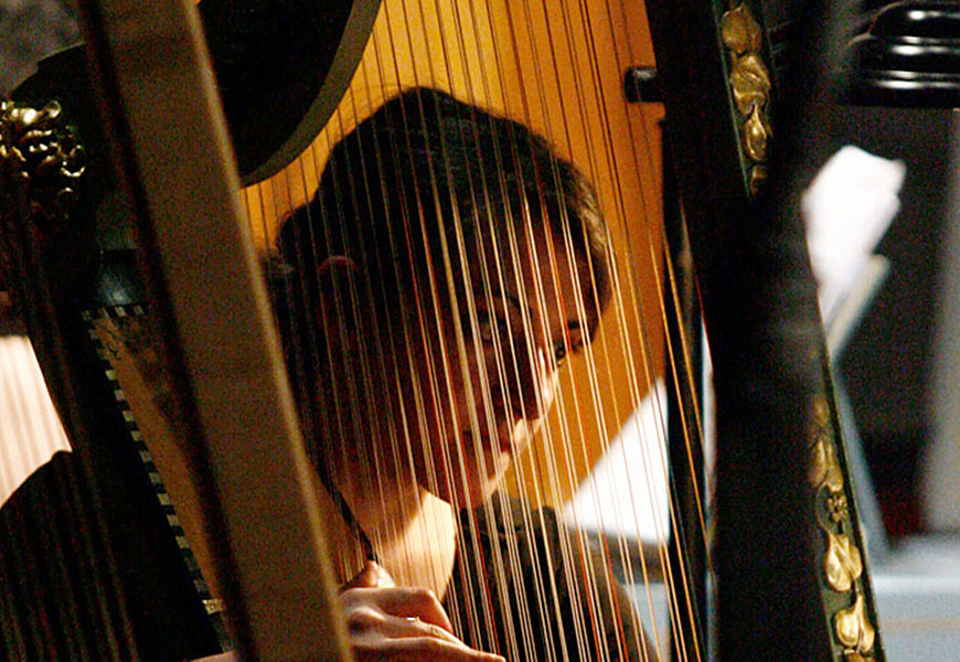Corso Musica Antica Arpa Rinascimentale Barocca