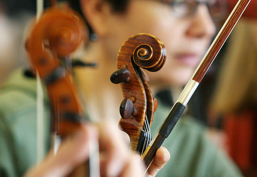 Corso Musica Antica Viola Barocca