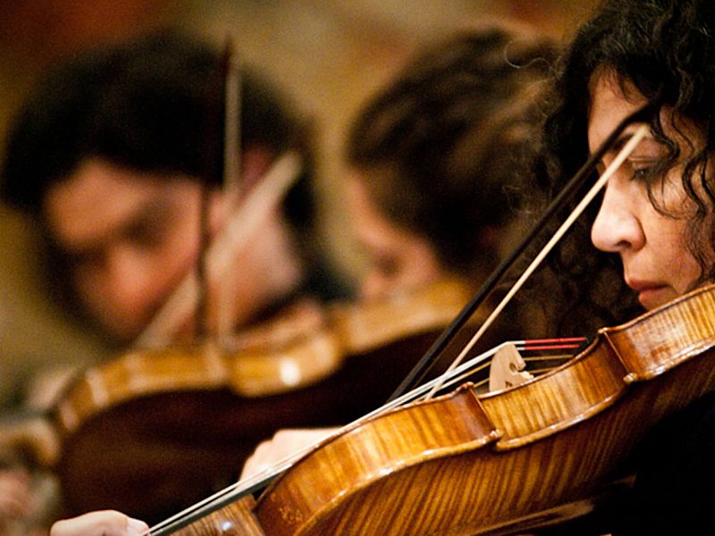 Corso Musica Antica Viola Barocco