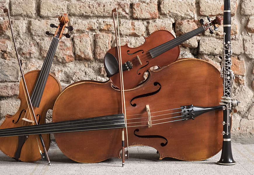 Violoncello status quo musicale delle scuole superiori