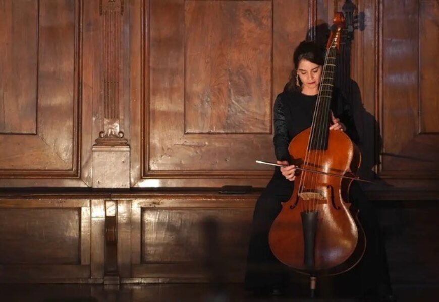 Violone antico