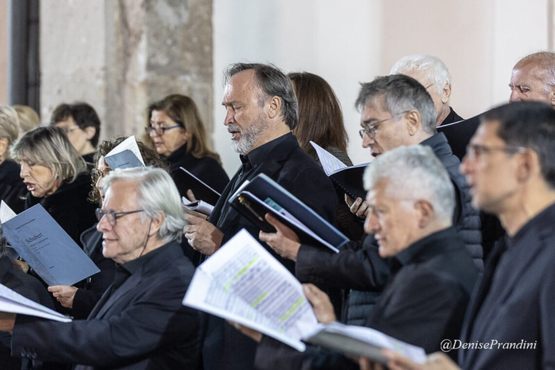 54836423513 be87f50a47 c