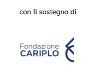 Web sostegno Fond Cariplo